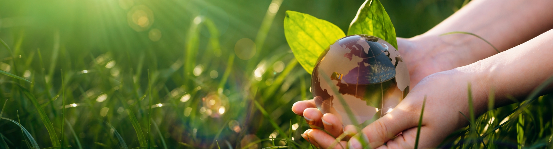 サステナビリティ